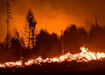 Klimawandel: „Klimakollaps“ trotz „Fortschritten“ – UN-Programm senkt Prognose zur globalen Erwärmung