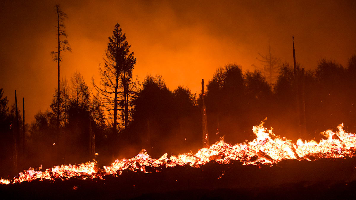 Klimawandel: „Klimakollaps“ trotz „Fortschritten“ – UN-Programm senkt Prognose zur globalen Erwärmung