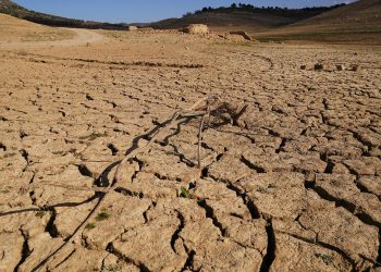 UN-Bericht: Die Welt steuert auf eine globale Erwärmung von bis zu 2,8 Grad zu