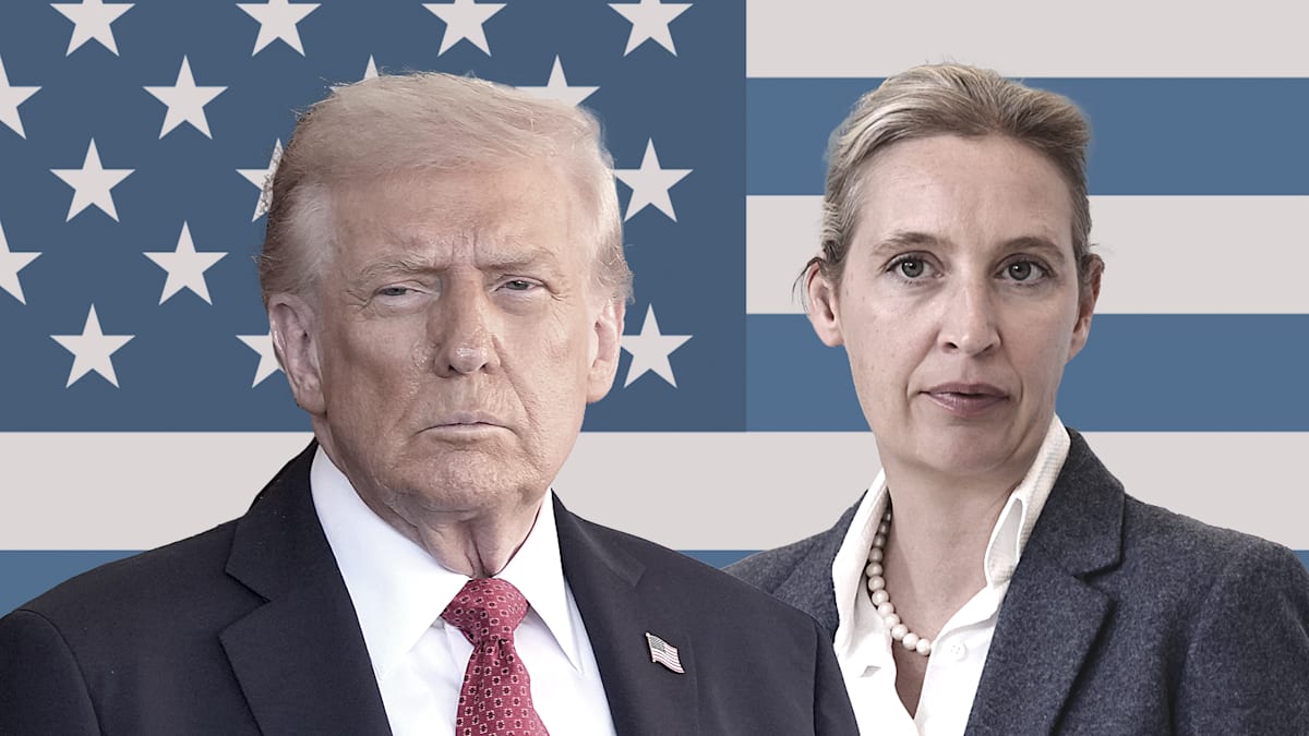 Kontakte zu Republikanern: In den USA zeichnet die AfD das Bild eines autoritären Deutschlands – und treibt einen Plan voran