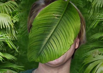 Dschungelcamp: Wird dieser Popstar bald die Krone erobern? – BILD