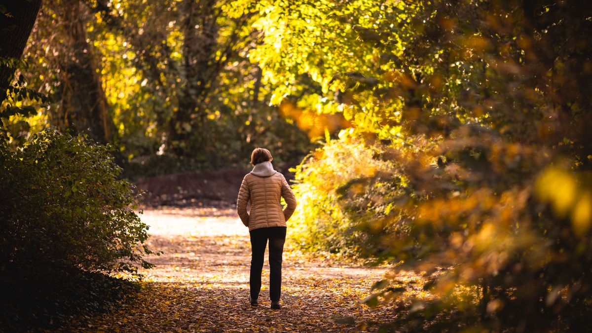 (S+) Die Rentenpläne des Bundes könnten 480 Milliarden Euro kosten – Spiegel