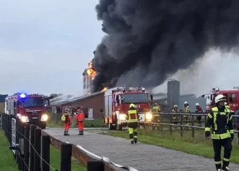 Feuerwehr löscht brennenden Stall in Benthullen mit 20.000 Legehennen