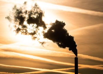 EU-Klimaziel für 2040 – Umweltminister versuchen eine Einigung zu erzielen