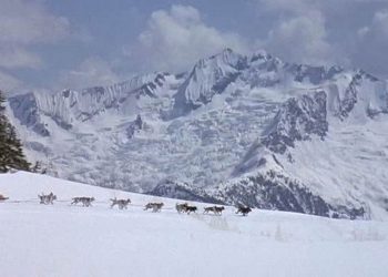 Heute Abend im Fernsehen: Dieser Abenteuerfilm mit Oscar-Gewinner glänzt mit unglaublich schönen Naturbildern – Kino News