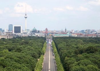 Berlin: „Absoluter Witz“ – die Hauptstadt will Milliarden aus Sondervermögen für mehr Bäume nutzen