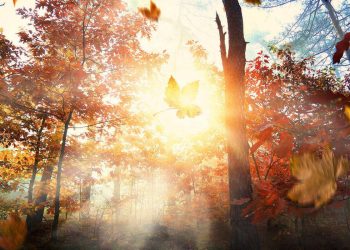 Kostenloses Tageshoroskop für den 12. November 2025