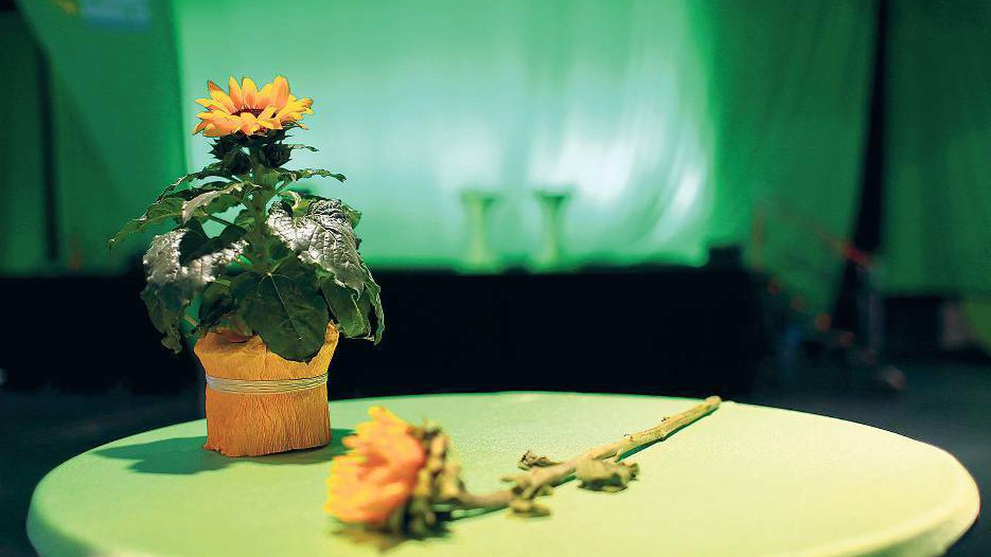 Intrigen, Machtkämpfe und Schikanen: Die Grünen im Nordosten versinken im Chaos – tagesspiegel.de