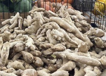 So effektiv sind Ingwer-Shots wirklich für das Immunsystem