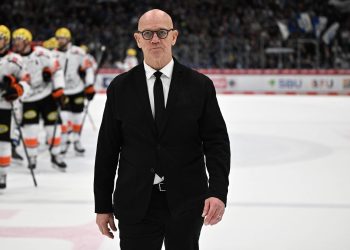 Nach Niederlagenserie: Löwen Frankfurt trennen sich von Trainer Tom Rowe | hessenschau.de