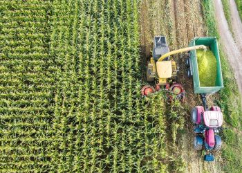 EU führt weitere Erleichterungen für Landwirte ein