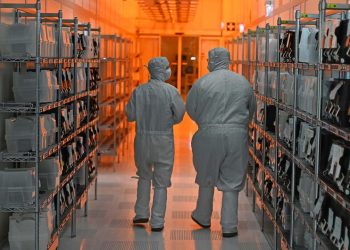 Im Streit um Nexperia zeichnet sich eine Entspannung ab