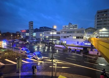 Massenpanik im Nordwestzentrum: „Der Körper unterscheidet nicht zwischen realer und unrealistischer Gefahr“ | hessenschau.de