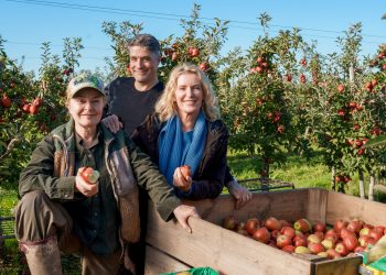 Tatort mit sozialem Auftrag – Ruhrbarone