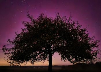 Nordlichter über Hessen ➤ Hessen am Morgen: Die News im Ticker