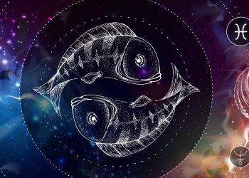 Nächste Woche wird es also ab dem 10. November sein. bis 16. November 2025