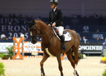 Deutscher Reitsportverband kritisiert Regeländerung für blutende Pferde