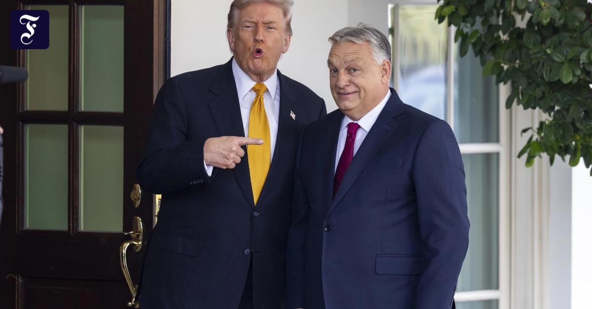 Trump und Orbán: Ein Treffen alter Freunde