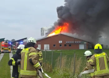 Großbrand in Wardenburg: Hühnerstall brennt