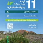 المركز الوطني للغطاء النباتي يطرح 11 فرصة استثمارية في متنزهات المدينة المنورة